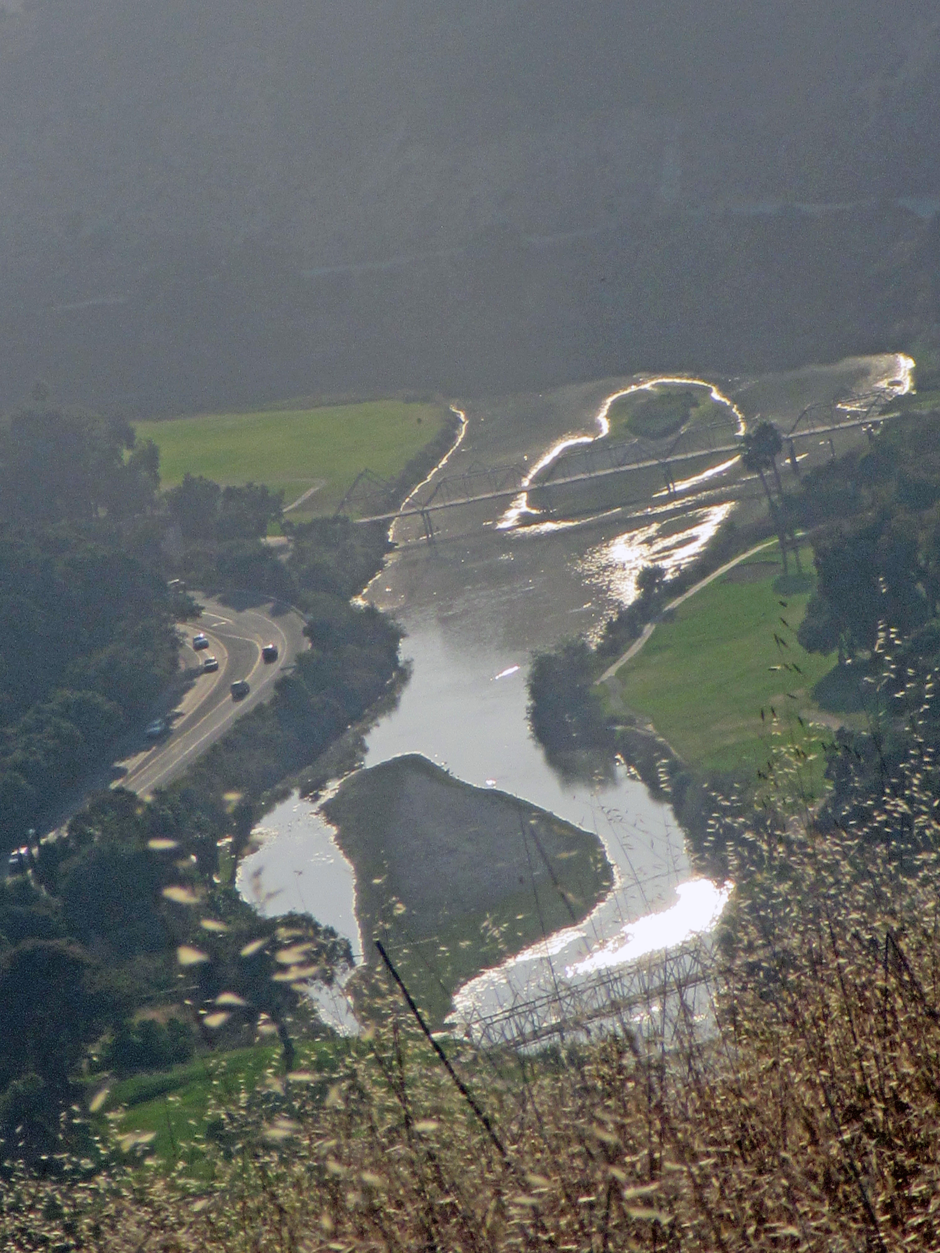 IMG_1406 Edited (1) Heart in Pond