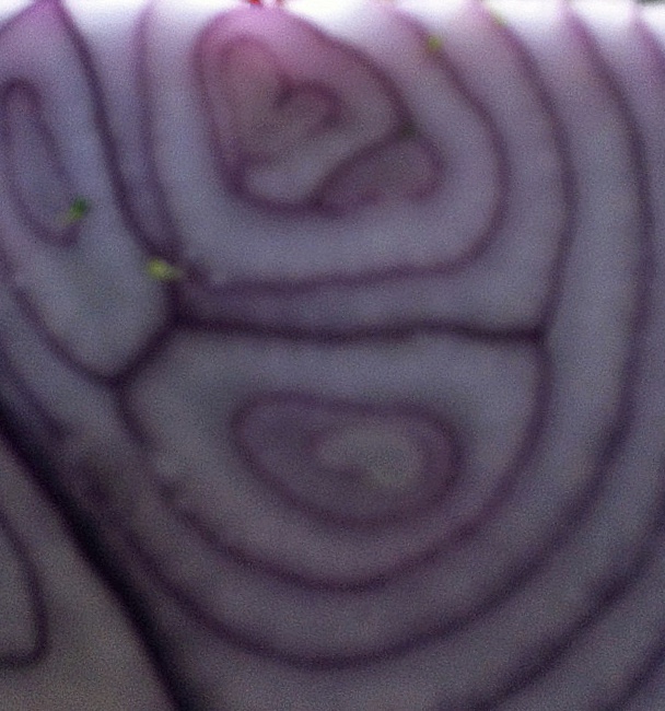 IMG_2851 Heart Onion Edited - Copy